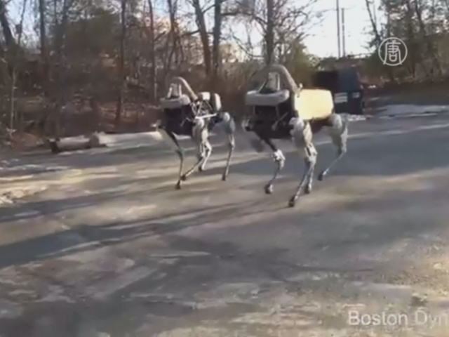 Google показала новую собаку-робота