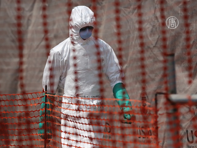 Эбола идёт на спад, но как восстановить экономику?