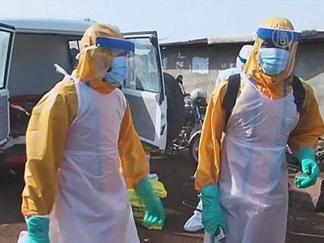 Год эпидемии: Эбола по-прежнему не отступает