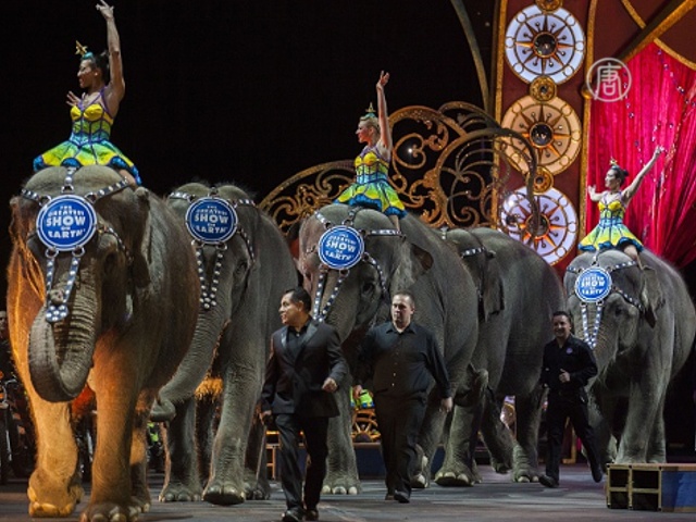 Цирк в США отпустит своих слонов на пенсию
