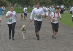 В Колумбии прошел марафон с собаками