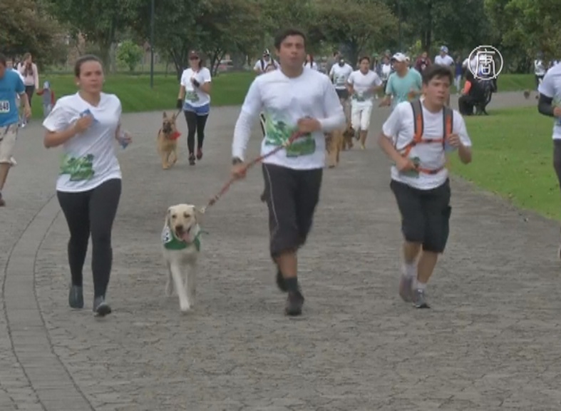 В Колумбии прошел марафон с собаками