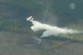 Лесные пожары в Канаде мешают добыче нефти