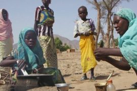 ООН: беженцам от «Боко харам» не хватает еды