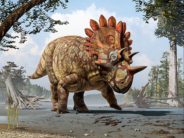 Учёные открыли новый вид рогатого динозавра