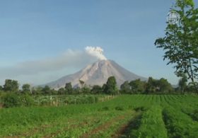 Суматранцев эвакуируют из-за вулкана Синабунг