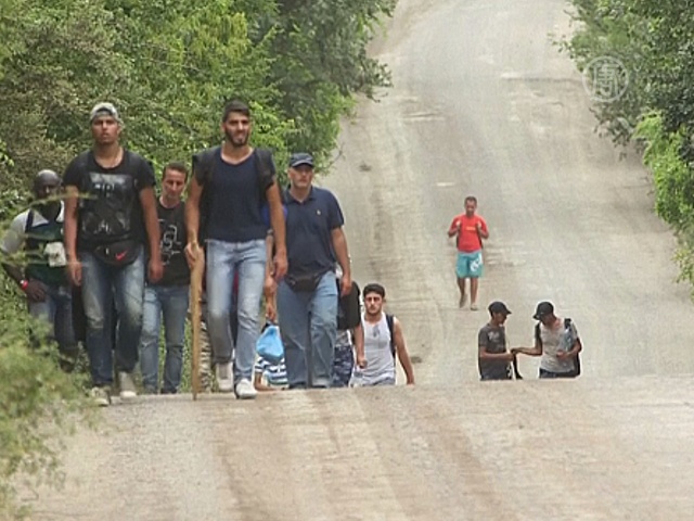 Сербия призывает ЕС разрешить миграционный кризис