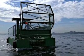 Экологичные лодки возобновили очистку Гуанабары