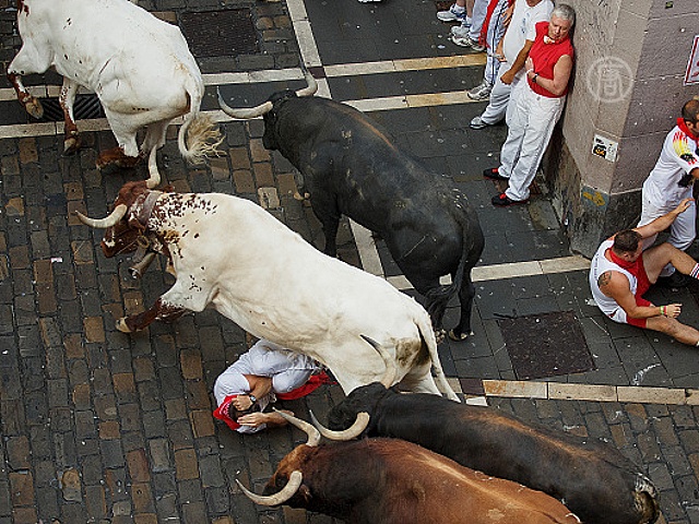 «Сан-Фермин»: быки ранили 11 человек