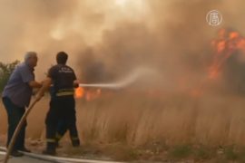 В Хорватии борются с лесными пожарами