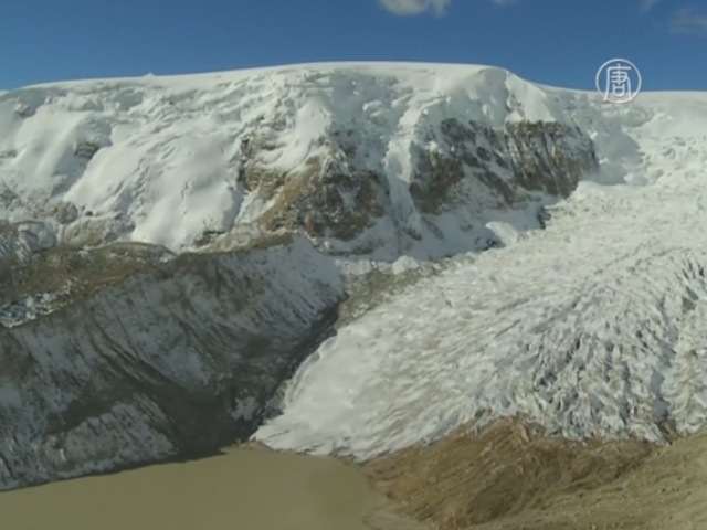 Древние растения расскажут о леднике в Андах