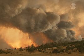 Север Калифорнии охватили лесные пожары