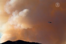 На западе США бушуют лесные пожары