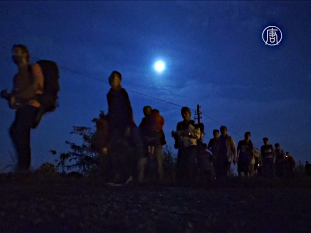 Ночной путь мигрантов из Сербии в Венгрию