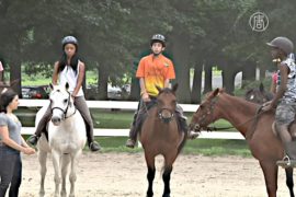 Лошади помогают детям из неблагополучного района