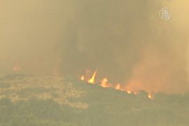 Пожары охватили леса на северо-западе Испании