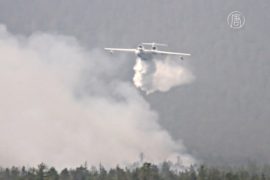 Лесные пожары в Сибири продолжают бушевать