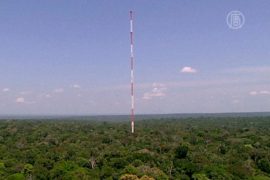 Башню для мониторинга климата построили в Амазонии