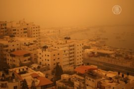 Песчаная буря накрыла Ближний Восток