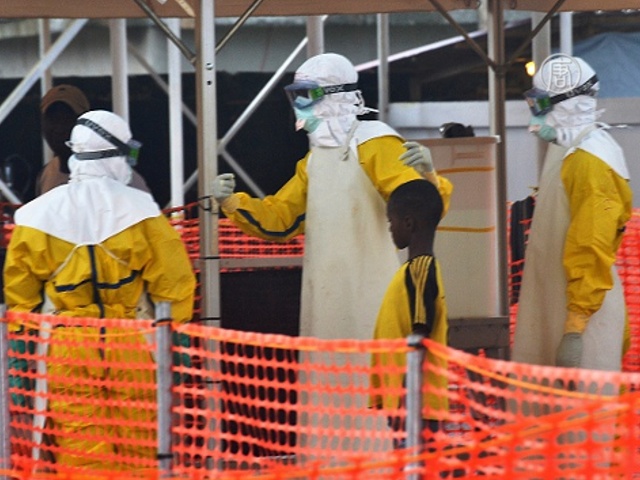 ВОЗ: эпидемию Эболы можно победить до конца 2015