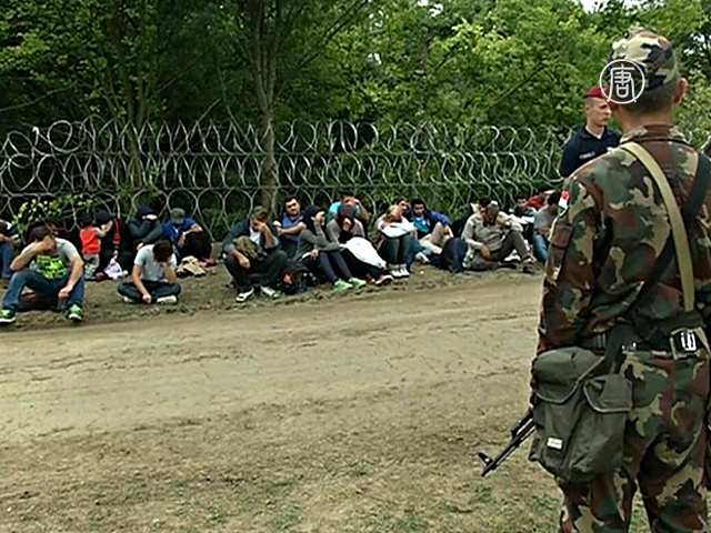 Венгрия: арестованы сирийцы, пересёкшие границу
