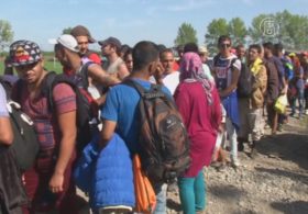 Поток мигрантов устремился через Хорватию