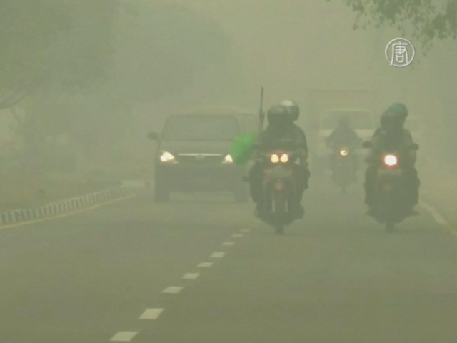 Индонезийцы страдают из-за смога