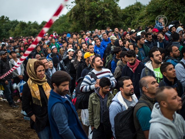 Беженцы продолжают переходить границу Венгрии