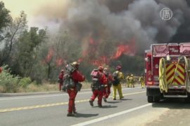 США: к тушению пожаров хотят привлечь преступников