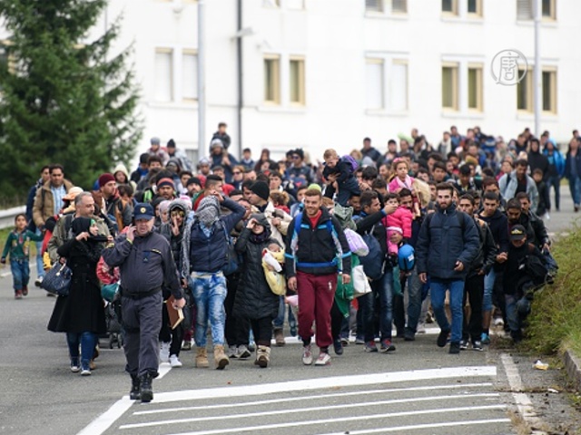 Мигрантов начала принимать Словения