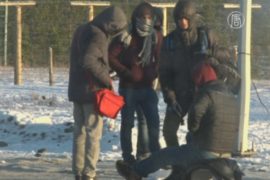 Мигранты бегут в Европу через север России