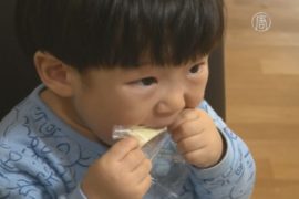 Южнокорейцы полюбили сыр
