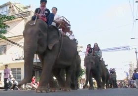 Парад слонов в Таиланде побил рекорд Азии