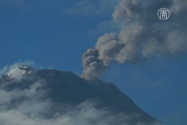 Вулкан в Эквадоре засыпал пеплом города
