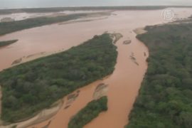 Компанию Samarco обвиняют в гибели реки Риу-Доси