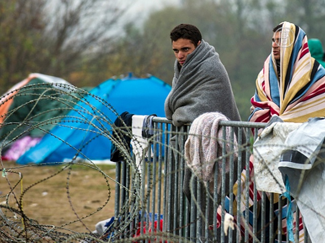 Трудности миграции: закрытые границы и холода