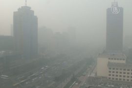 Пекинцы сидят дома из-за смога