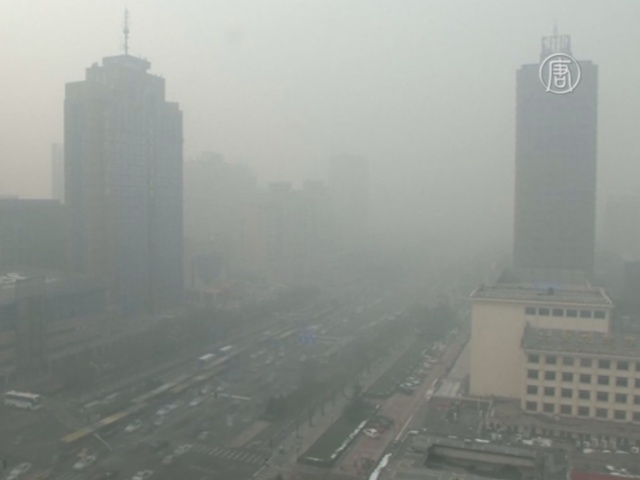 Пекинцы сидят дома из-за смога