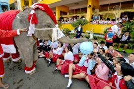 Слоны-Санты раздавали детям подарки