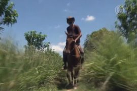Туры верхом на лошади: новинка в Камбодже