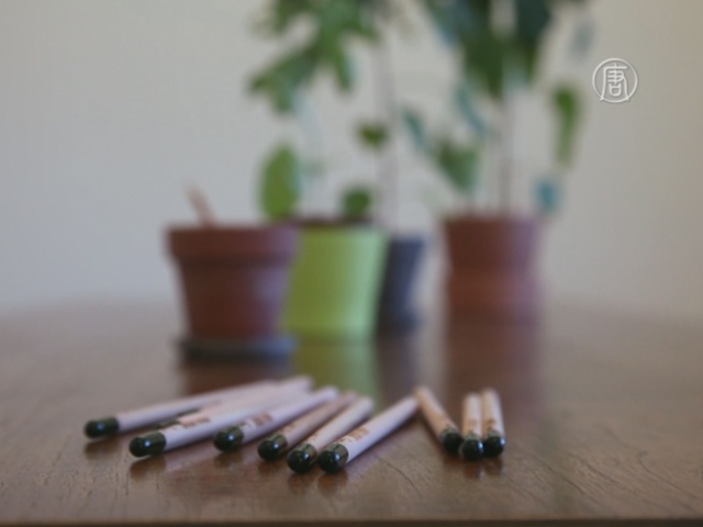 Исписанные карандаши дают жизнь растениям