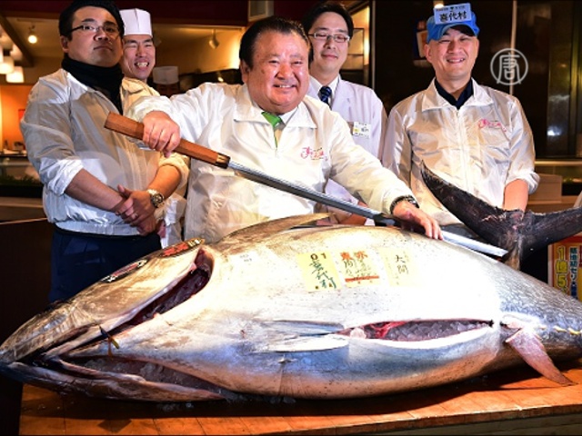 Токио: голубого тунца продали за $117 тысяч