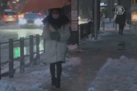 Первый снег в Токио вызвал коллапс
