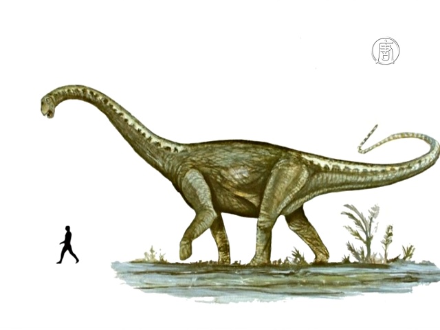 В Аргентине описали новый вид динозавра-гиганта