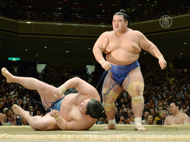 Чемпионат сумо: впервые за 10 лет победил японец
