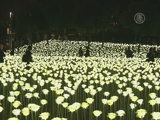 25 тысяч светящихся роз расцвели в Гонконге