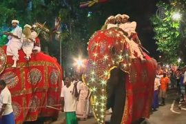 Шри-Ланка: красочный парад со слонами