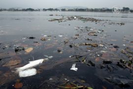 В Рио требуют очистить залив Гуанабара от грязи