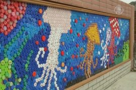 Дети украсили школу мозаикой из крышек