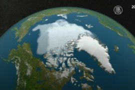 НАСА сосредоточится на изучении Арктики